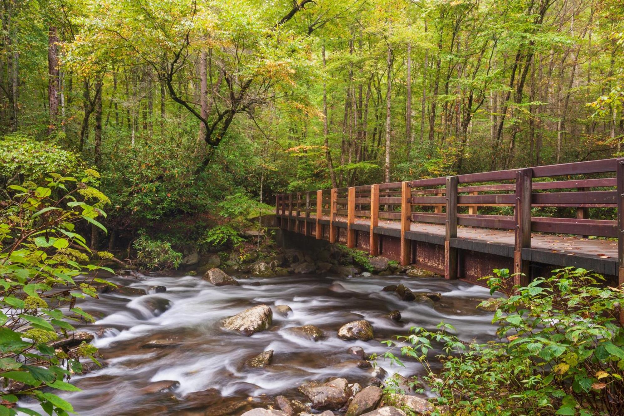Whispering Winds, Hot Tub, Game Room, Wifi, 1089 Free Tickets Each Paid Day, Dollywood And More ガトリンバーグ エクステリア 写真